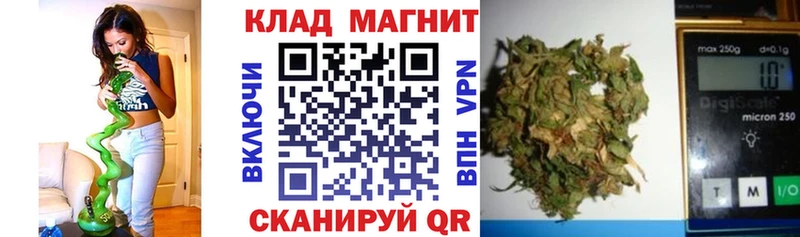 Галлюциногенные грибы Тавда