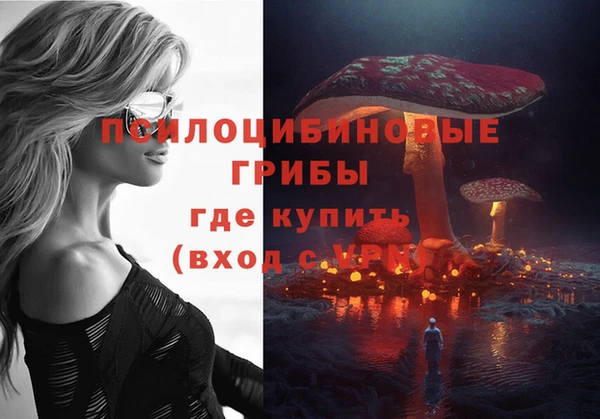 амф Алзамай