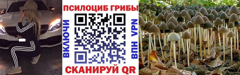 Псилоцибиновые грибы прущие грибы  Тавда 