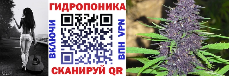 Канабис индика  Тавда 